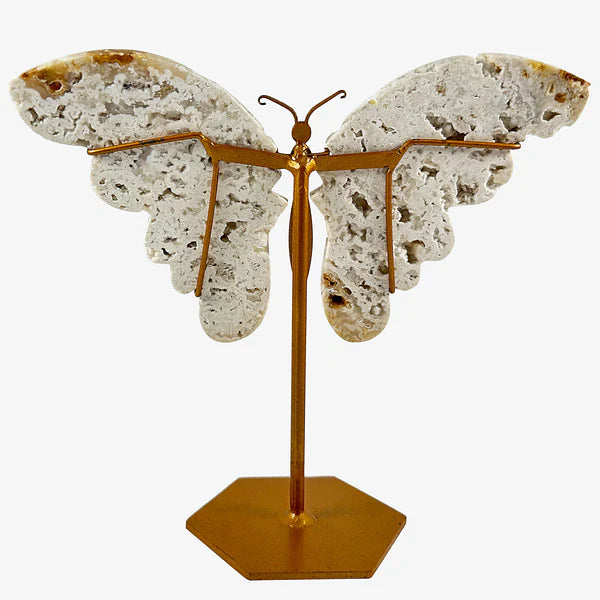 Crystal Butterfly Wings Carvings with Stand - White Plume Agate