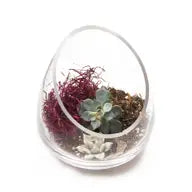 Glass Terrarium Bowl - Short