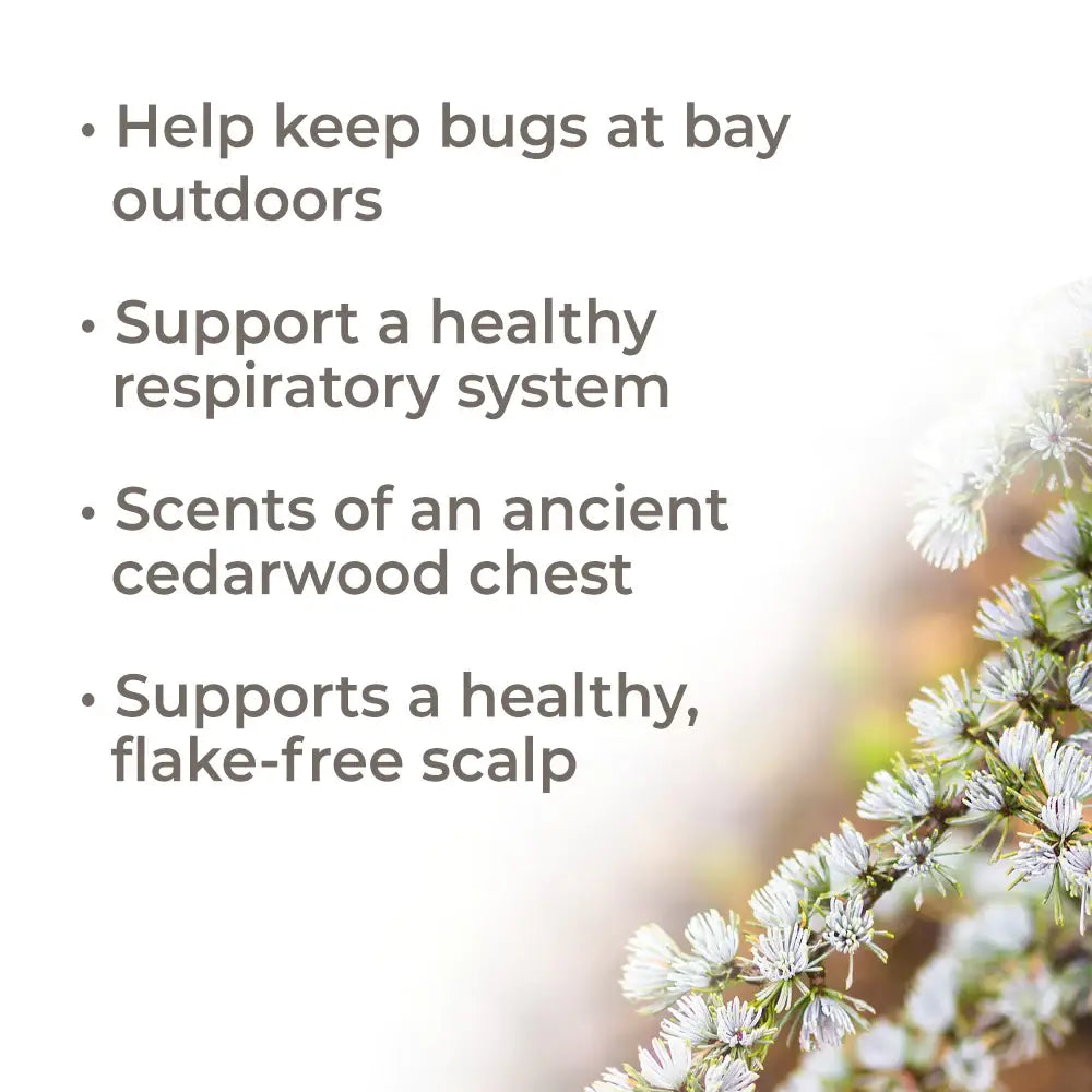 Organic Atlas Cedarwood Essential Oil