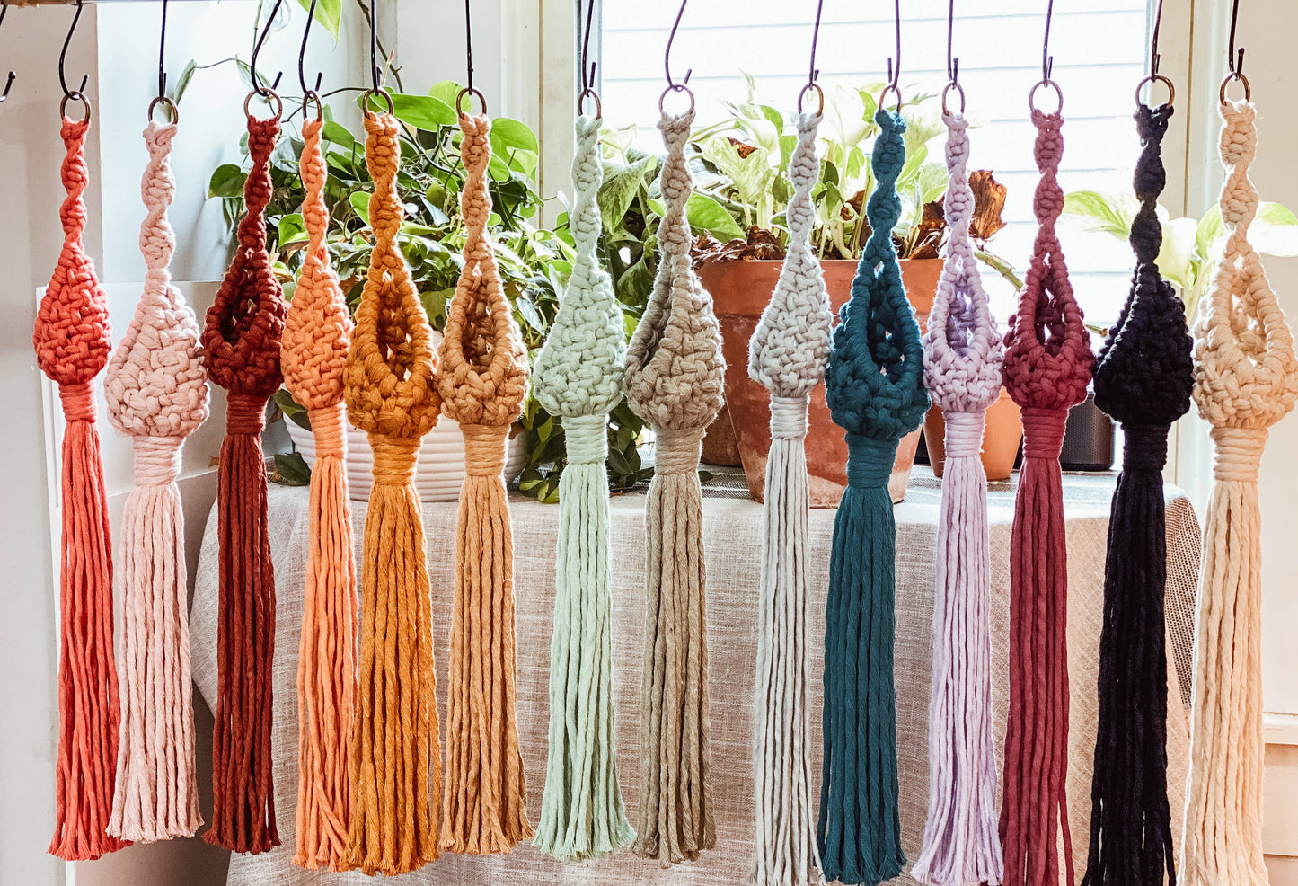 Macrame Air Plant Pod