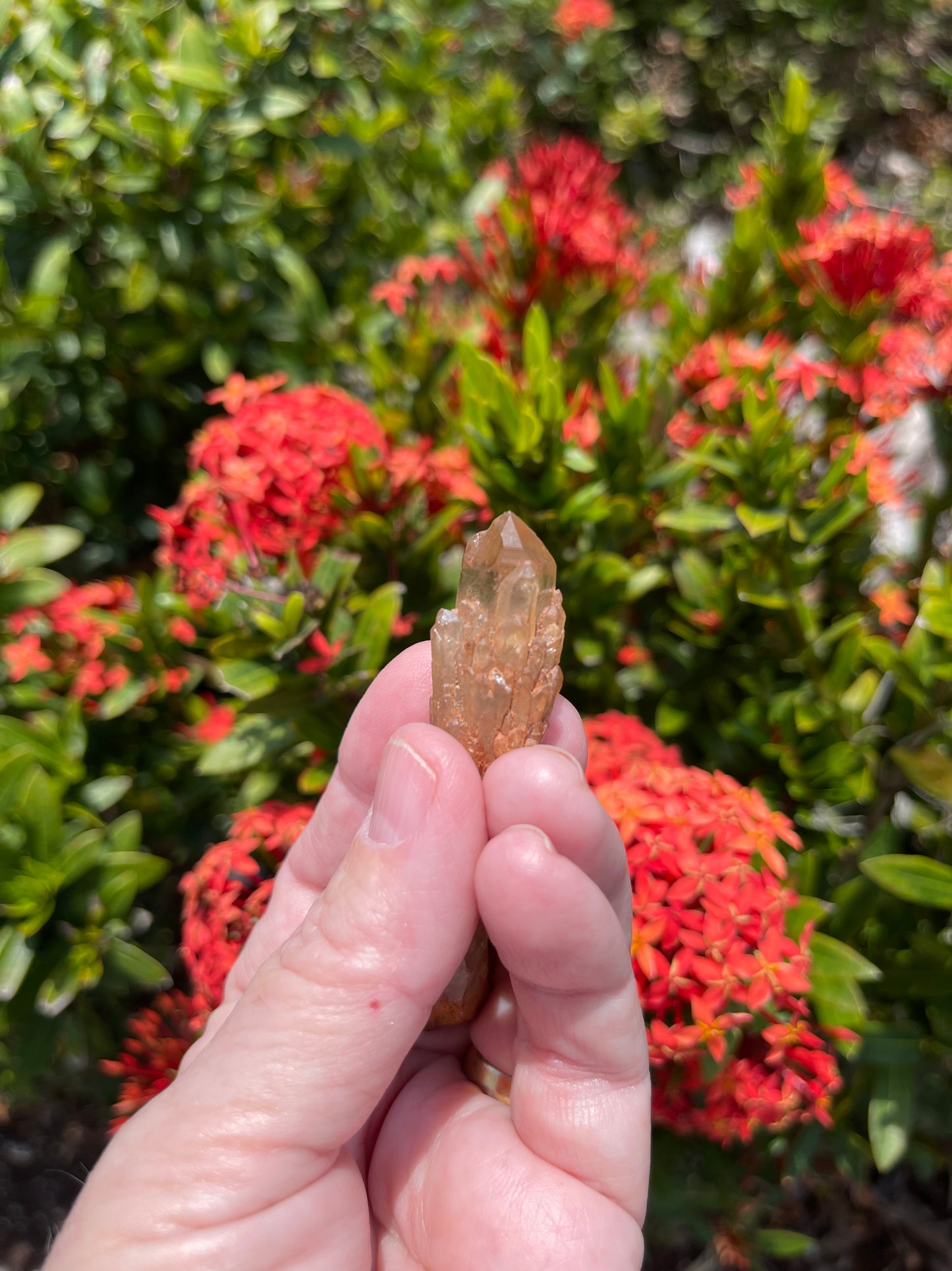 Kundalini Congo Citrine Points