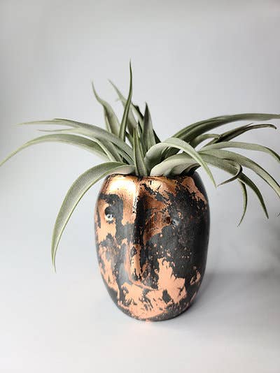 Frank Concrete Face Planter with Metallic Leaf Air Plant Pot