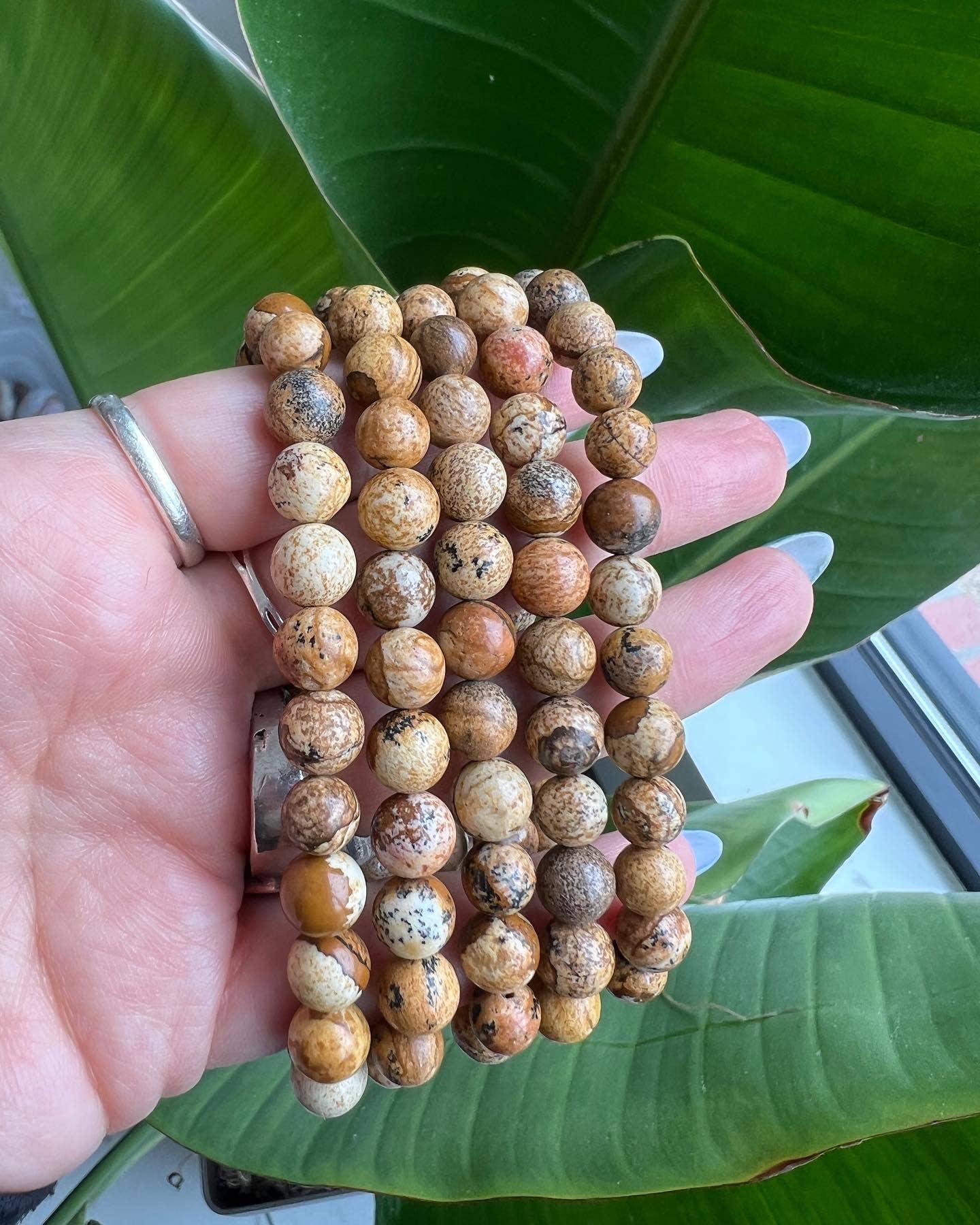 Elastic Bracelets - Picture Jasper