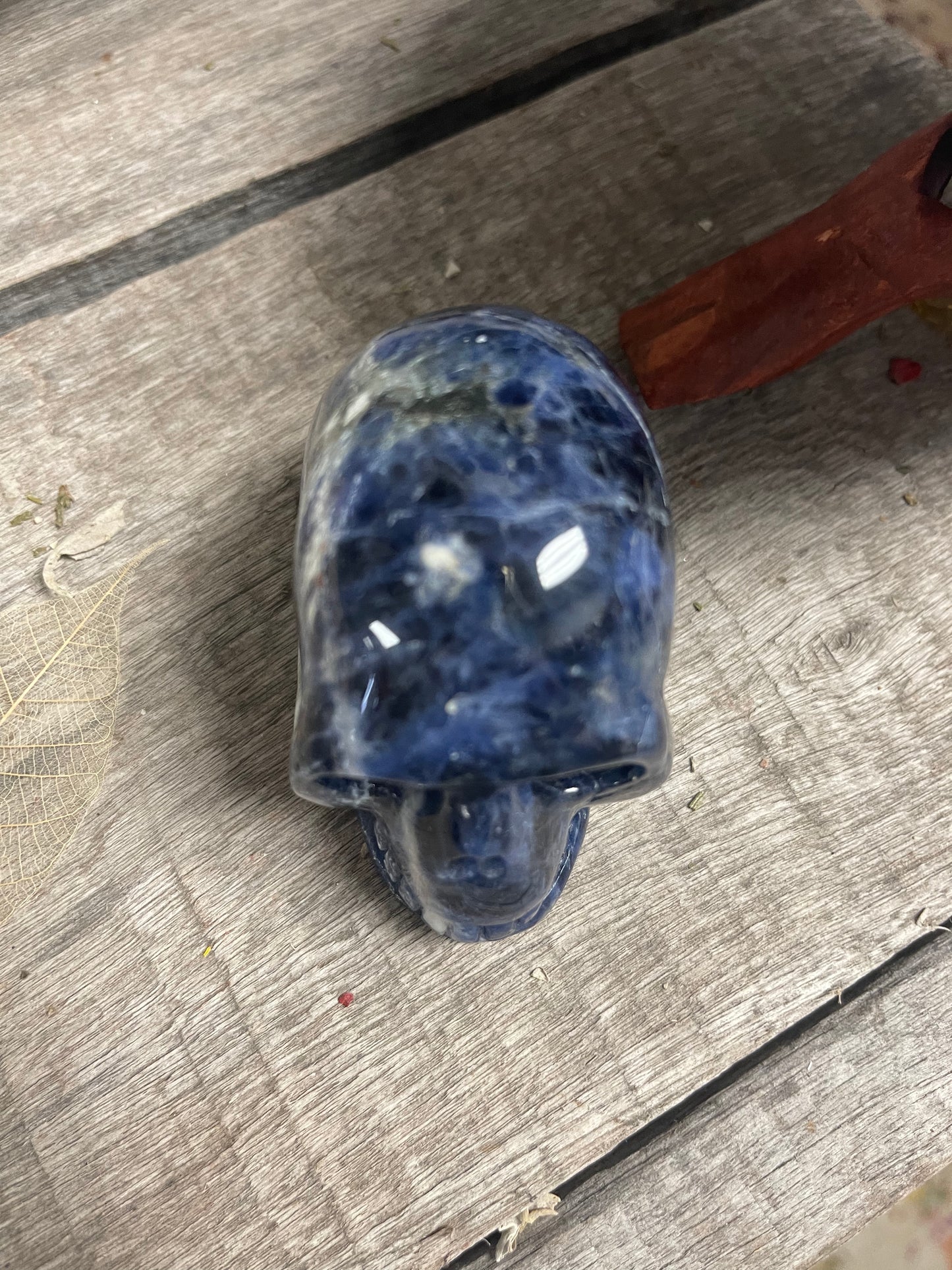 Sodalite Skull