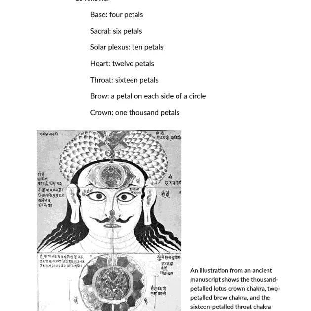 Chakras: Orion Plain & Simple - Book