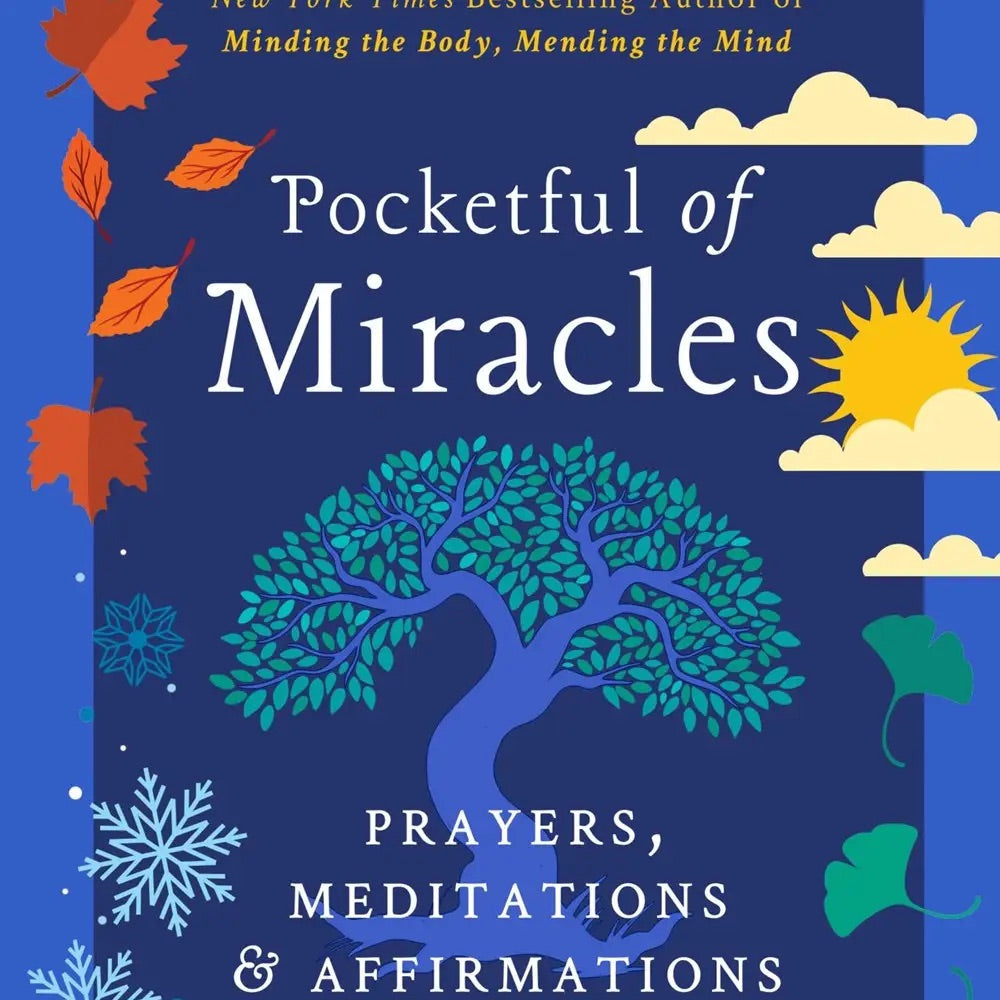 Pocketful of Miracle - Book