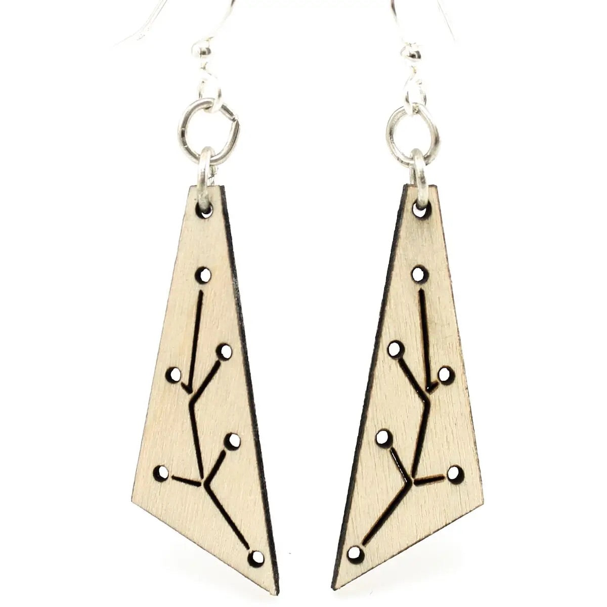New Growth Triangle Earrings