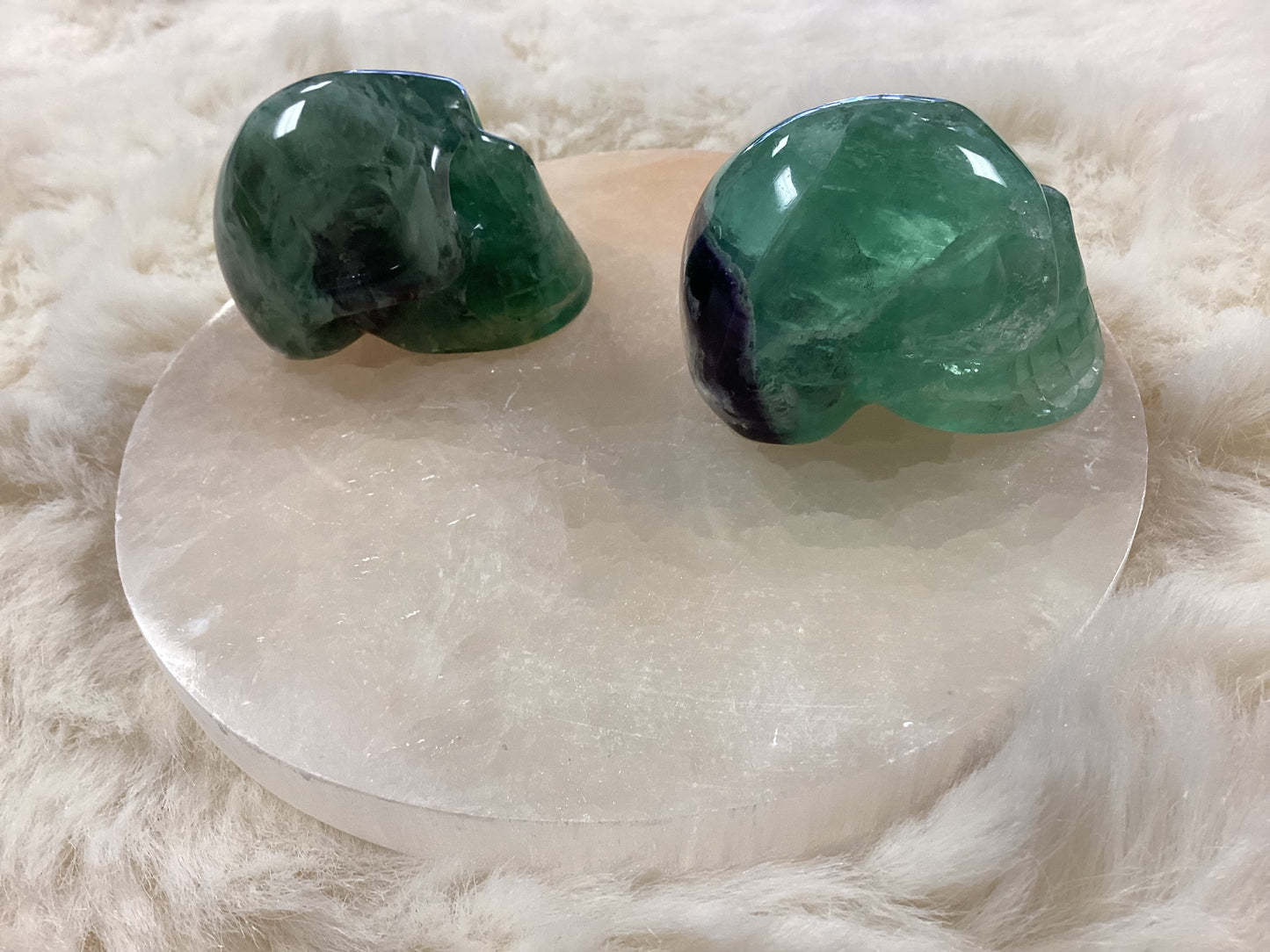 Fluorite Skulls - Large