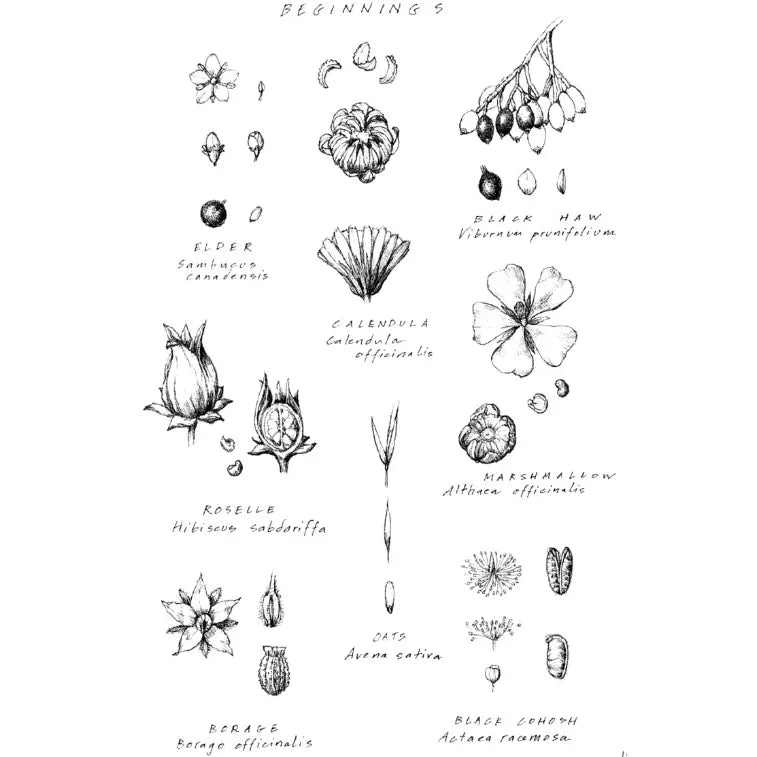 Energetic Herbalism - Book