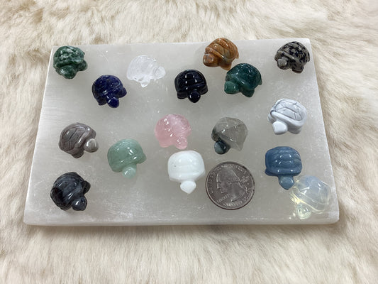Mixed Crystal Mini Turtles