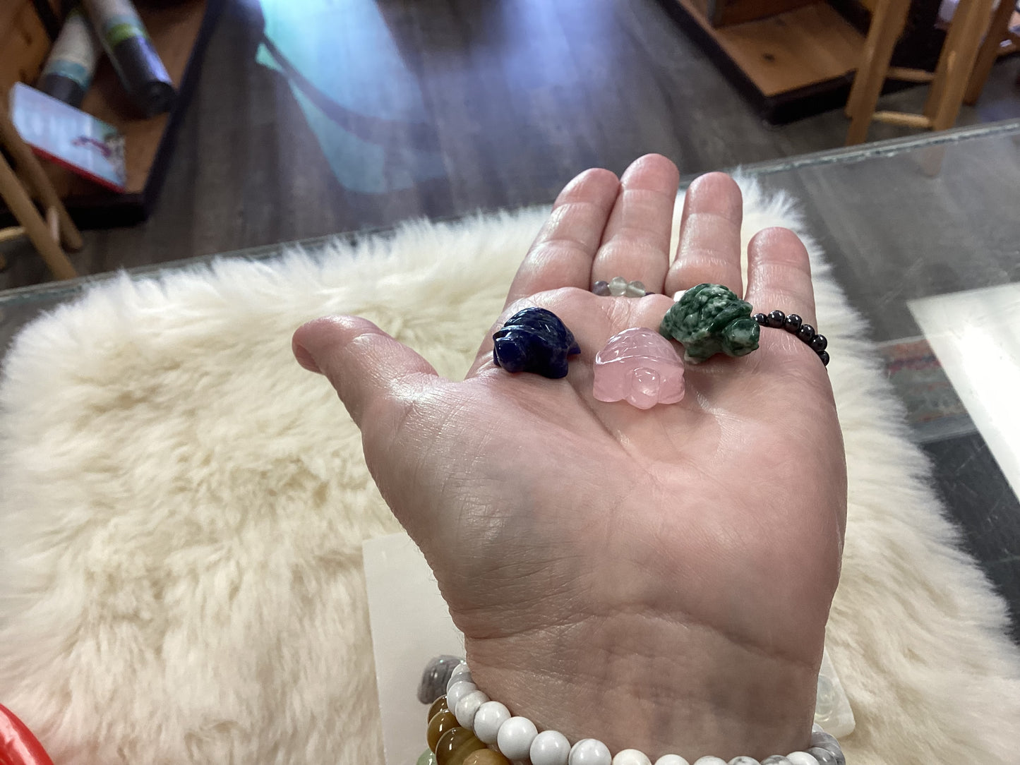 Mixed Crystal Mini Turtles