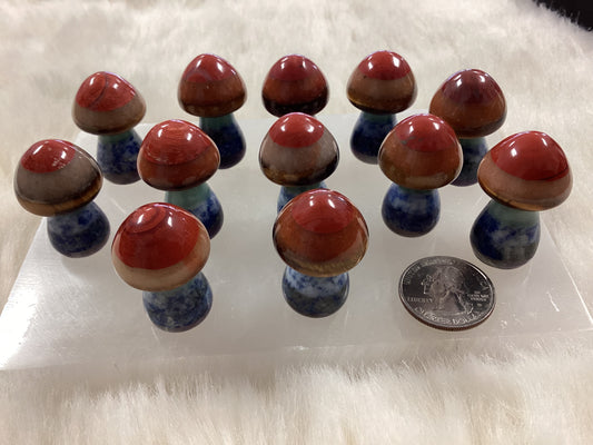 Mini Chakra Mushrooms