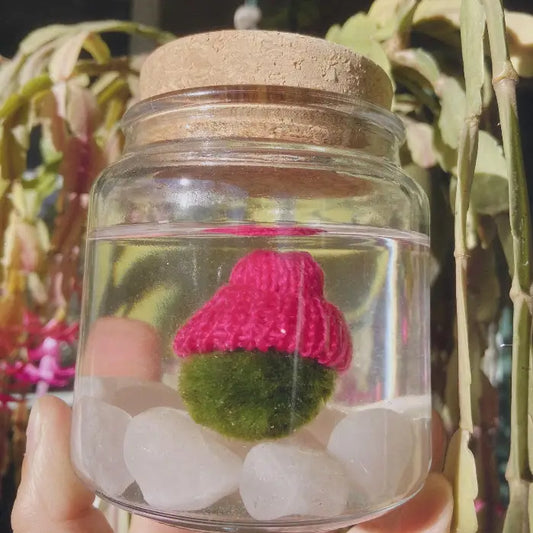 Moss Beanie Moss Amigos