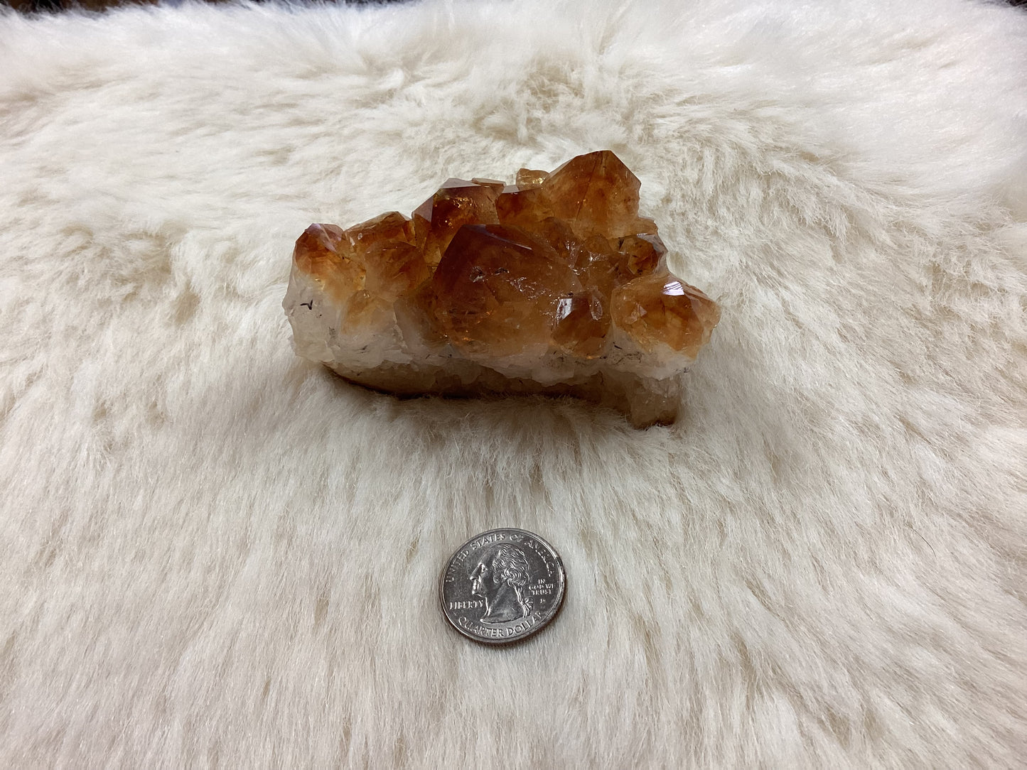 Citrine Cluster - Large