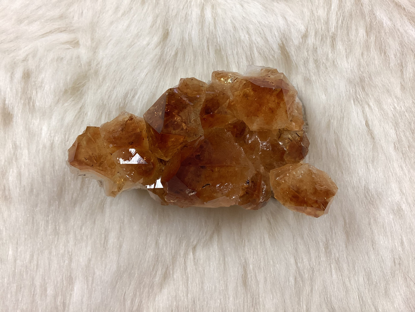 Citrine Cluster - Large