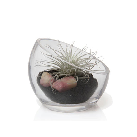 Glass Terrarium Bowl - Small