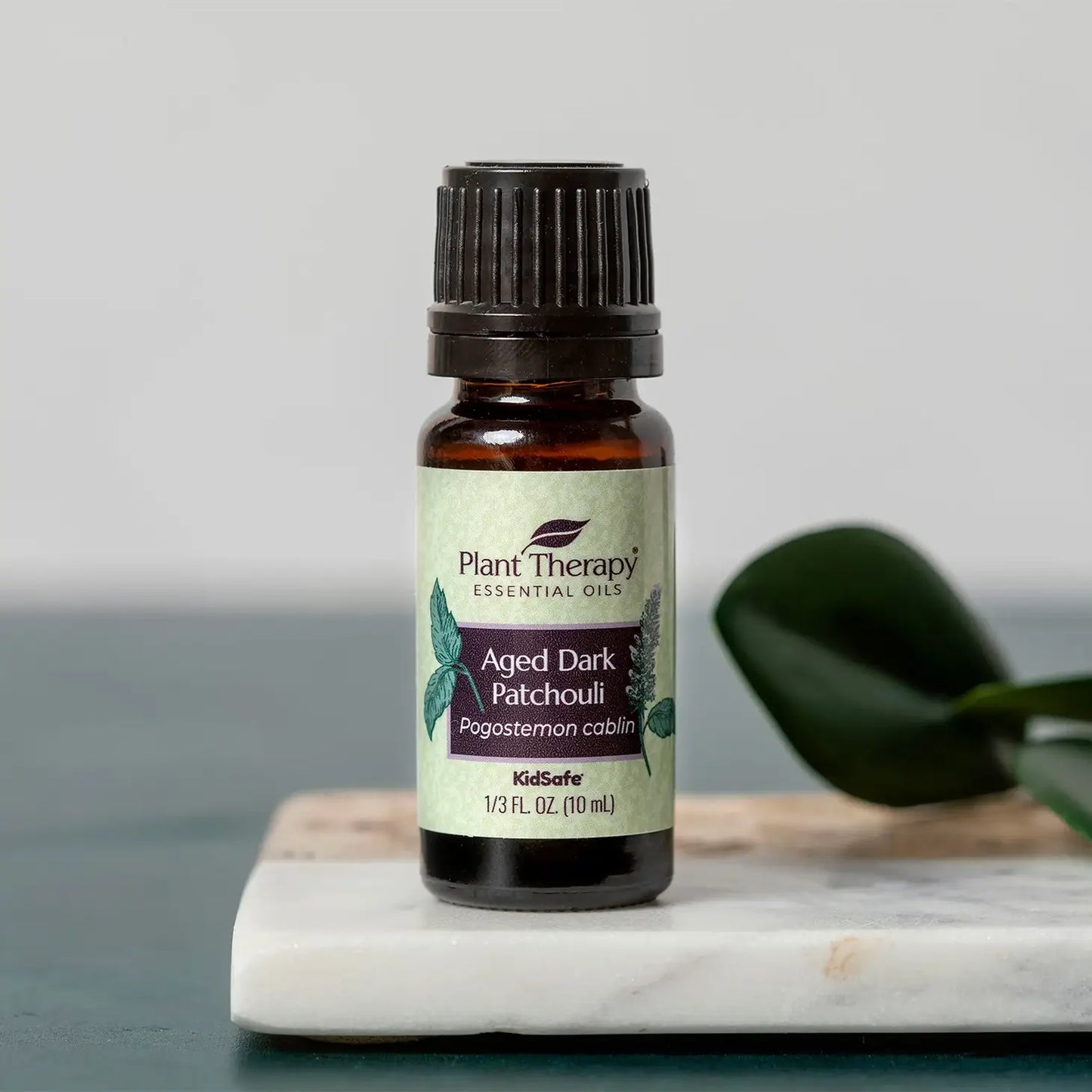 Aged Dark Patchouli Pure Essential Oil