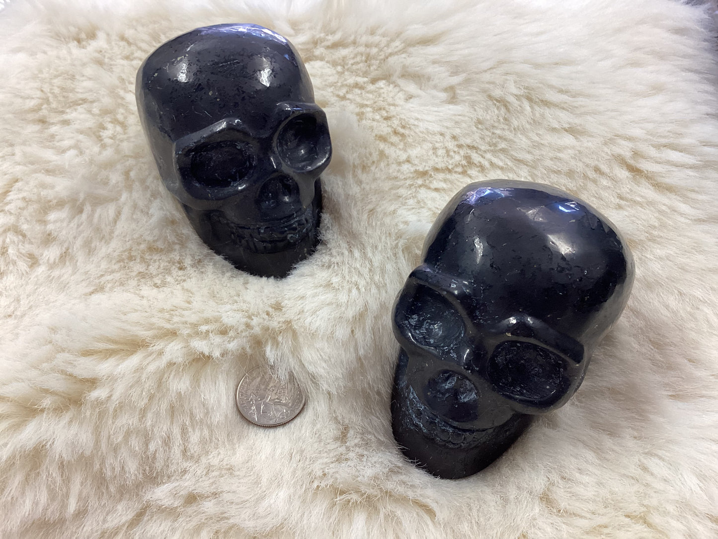 Shungite Skull