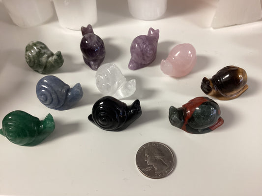 Crystal Snail - Assorted