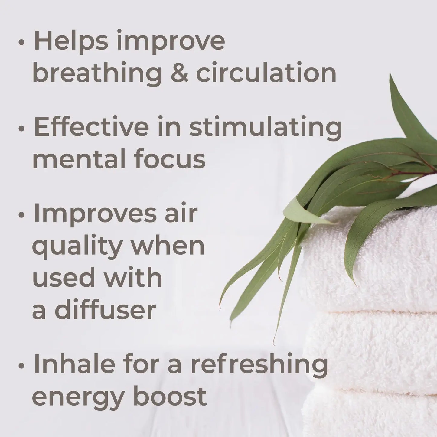 Organic Eucalyptus Globulus Essential Oil