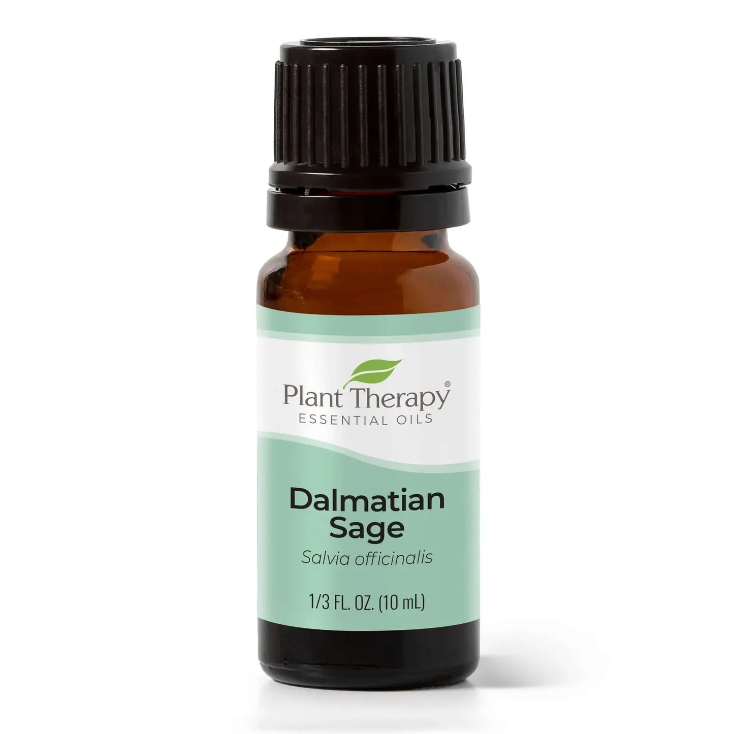 Dalmation Sage Essential Oil