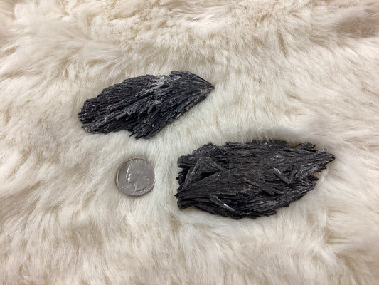 Black Kyanite Blades - Small