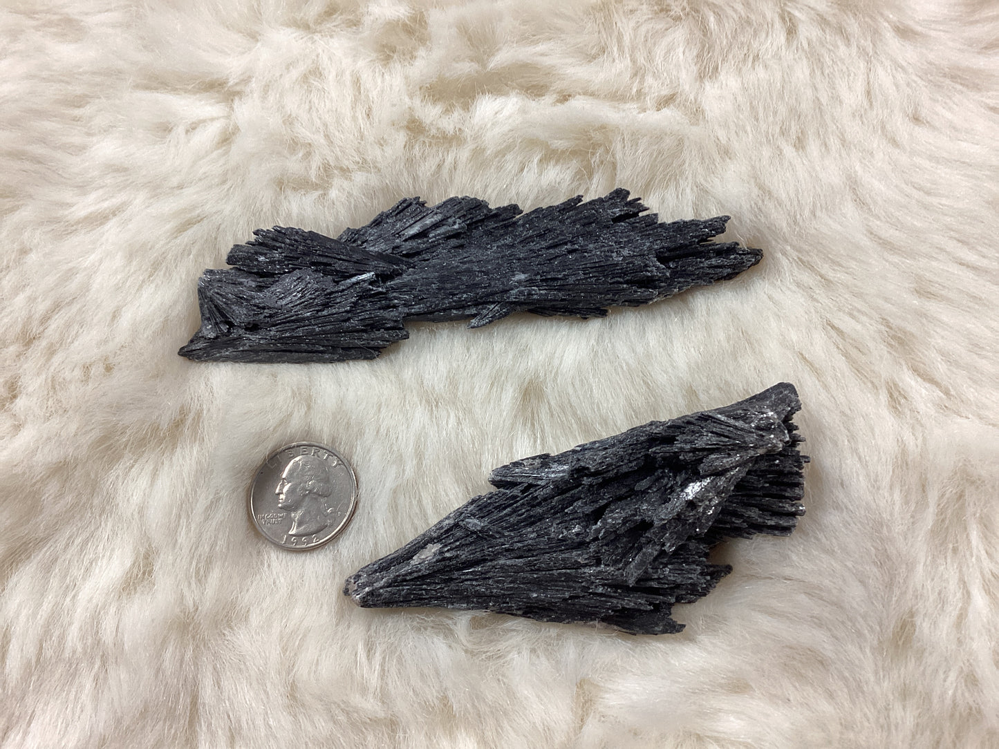 Black Kyanite Blades - Large