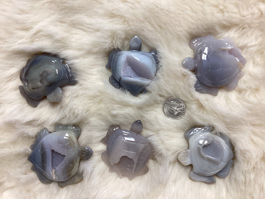 Druzy Agate Turtle