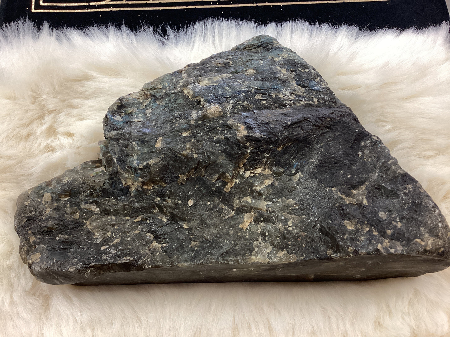 Labradorite Free Form - XL
