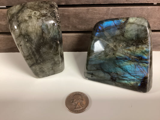 Labradorite Free Form - Small