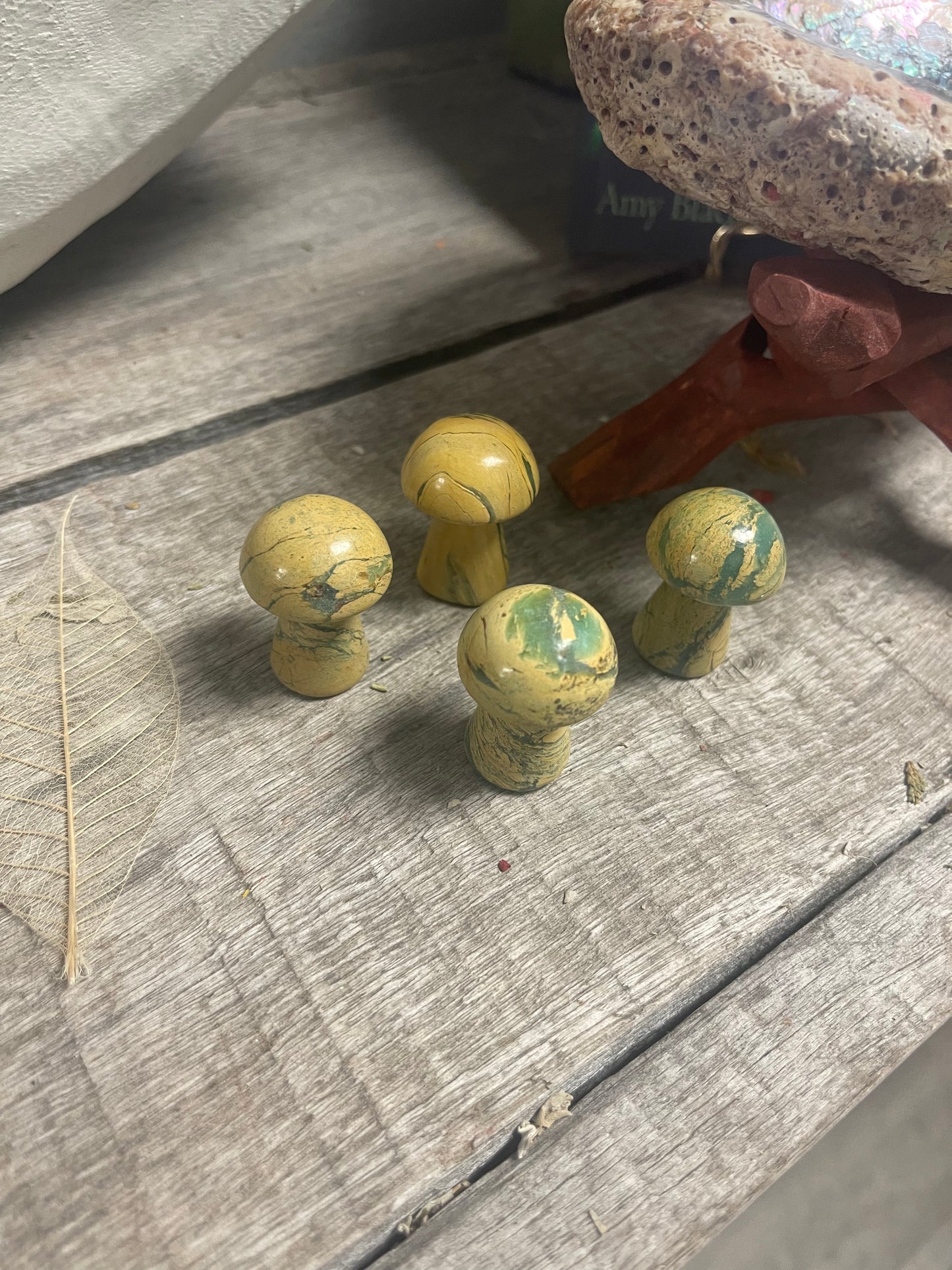 Picture Jasper Mushrooms