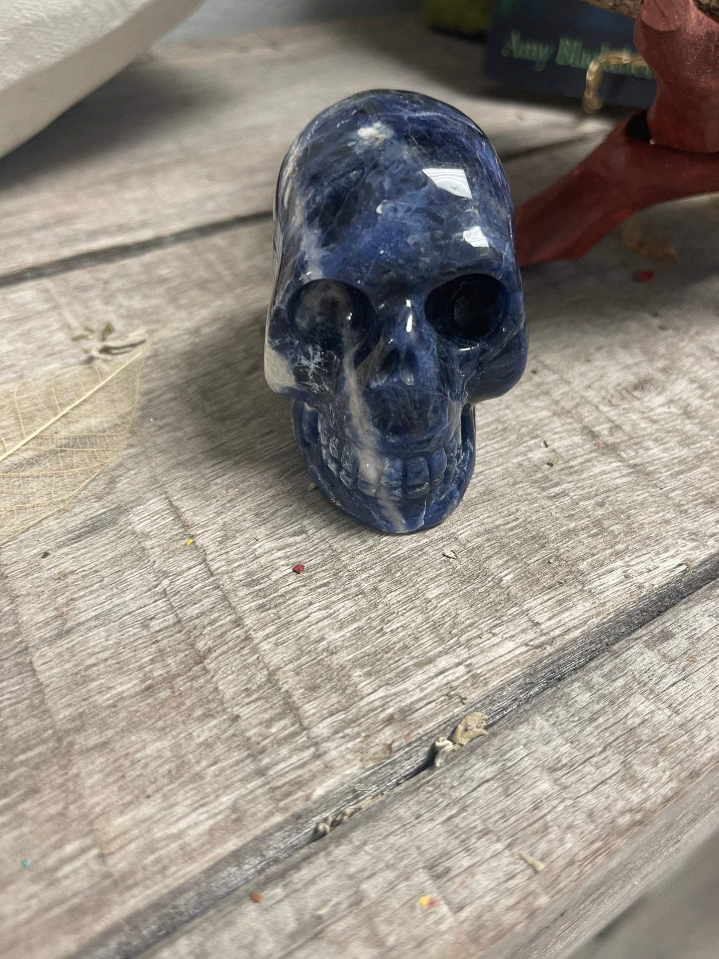 Sodalite Skull