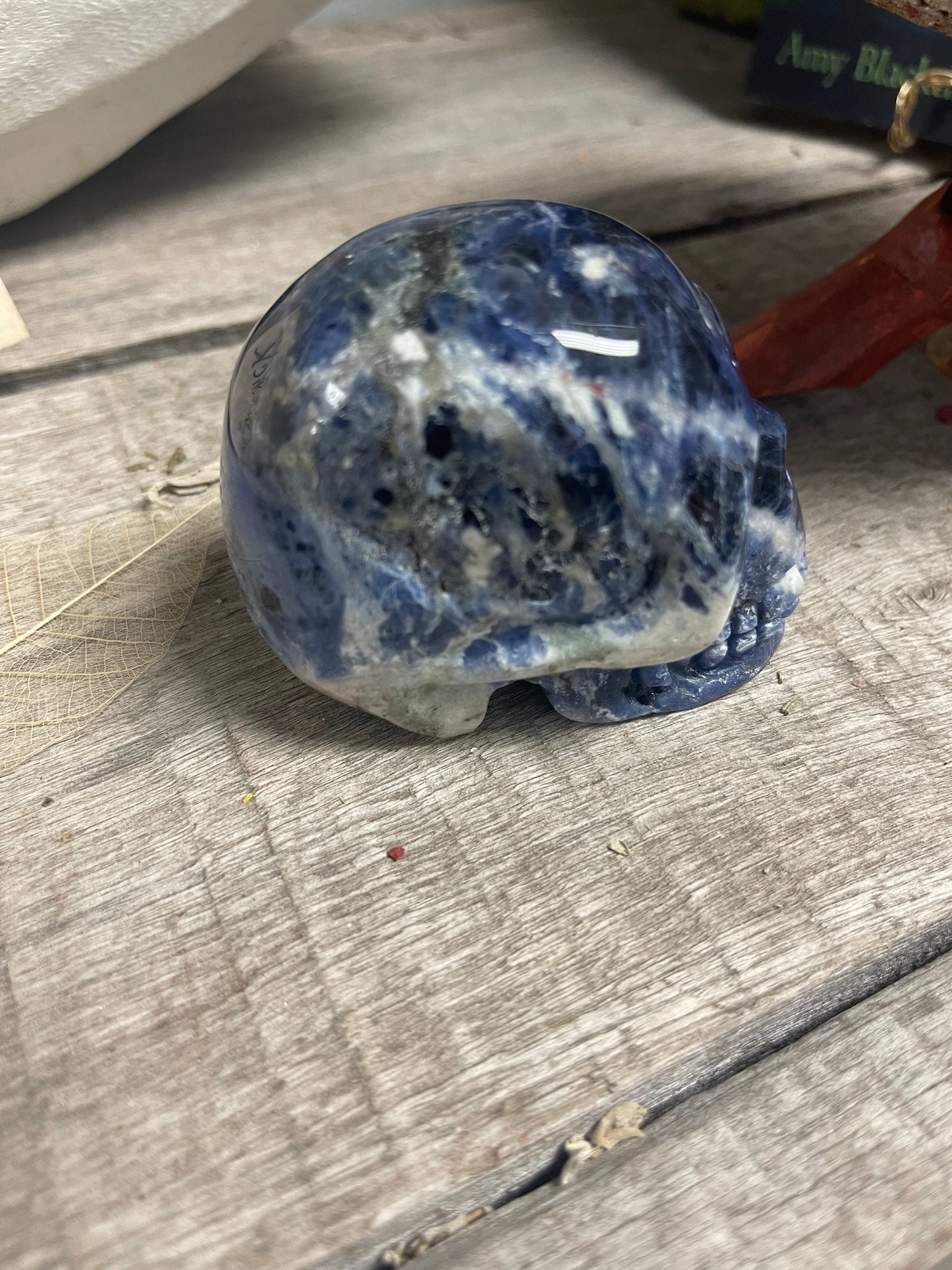 Sodalite Skull