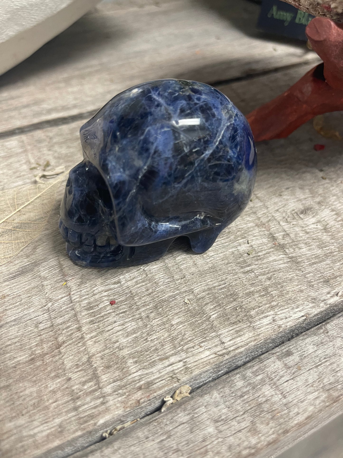 Sodalite Skull