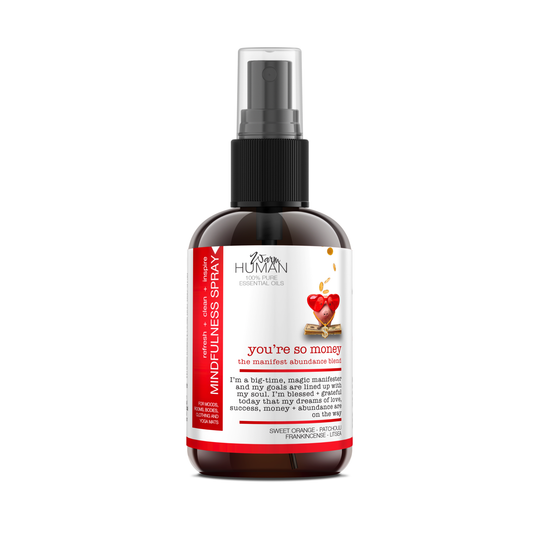 Warm Human You're So Money - Manifest Abundance Blend Mindfulness Spray