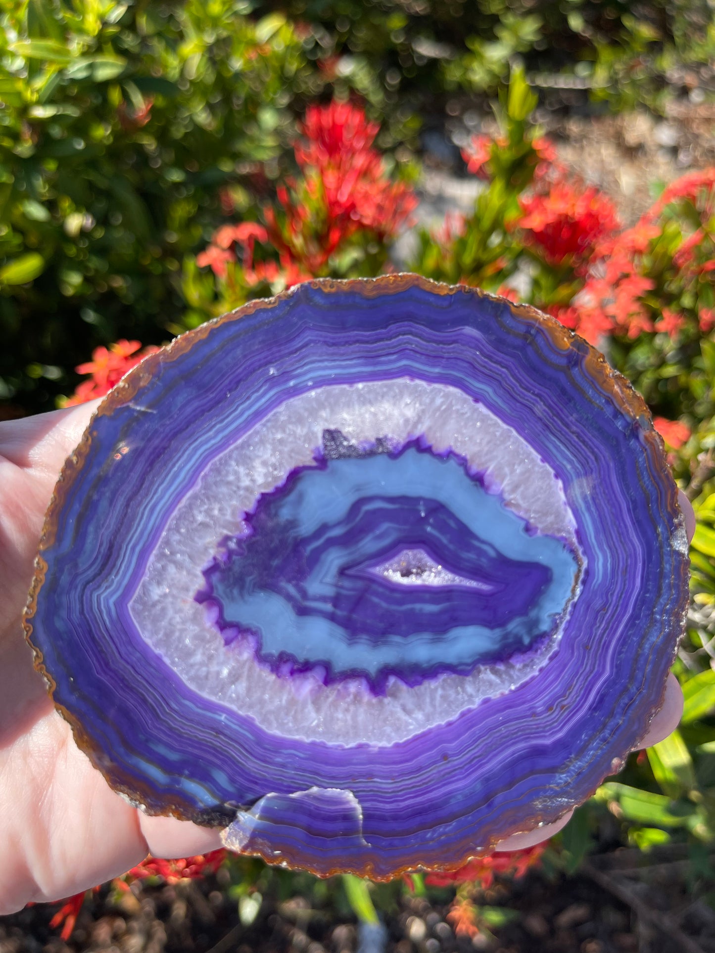 Agate Slice