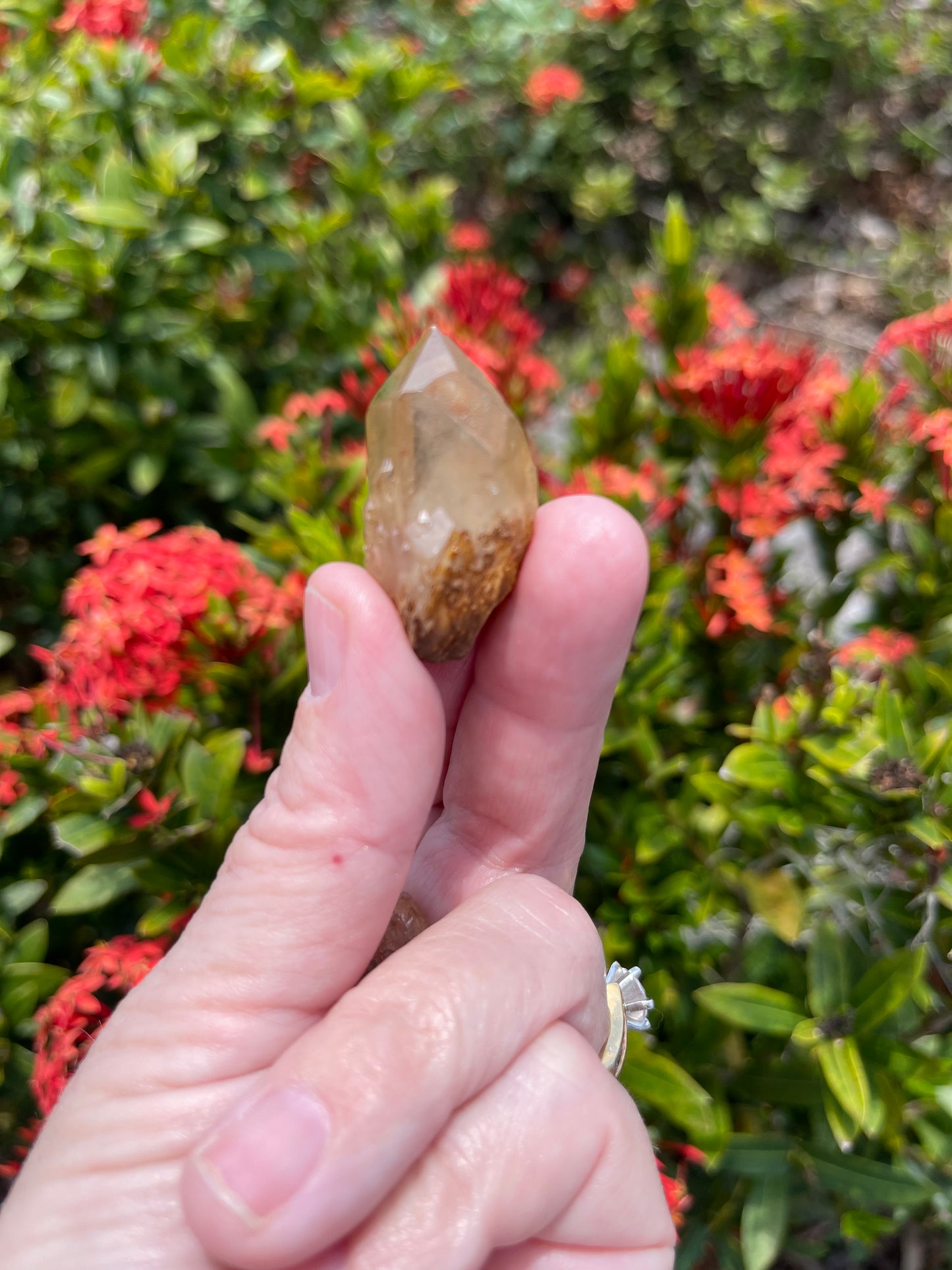 Kundalini Congo Citrine Points