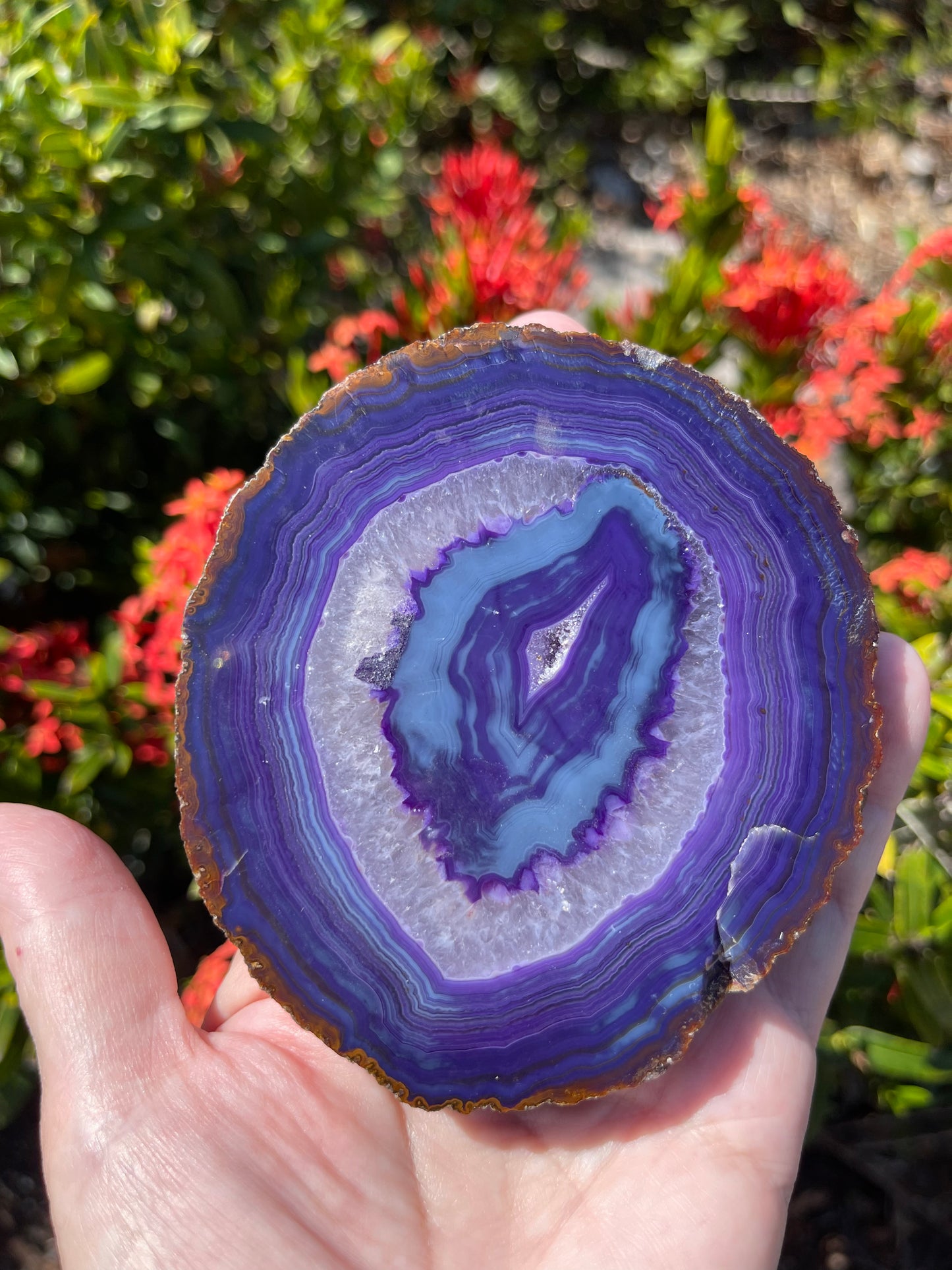 Agate Slice