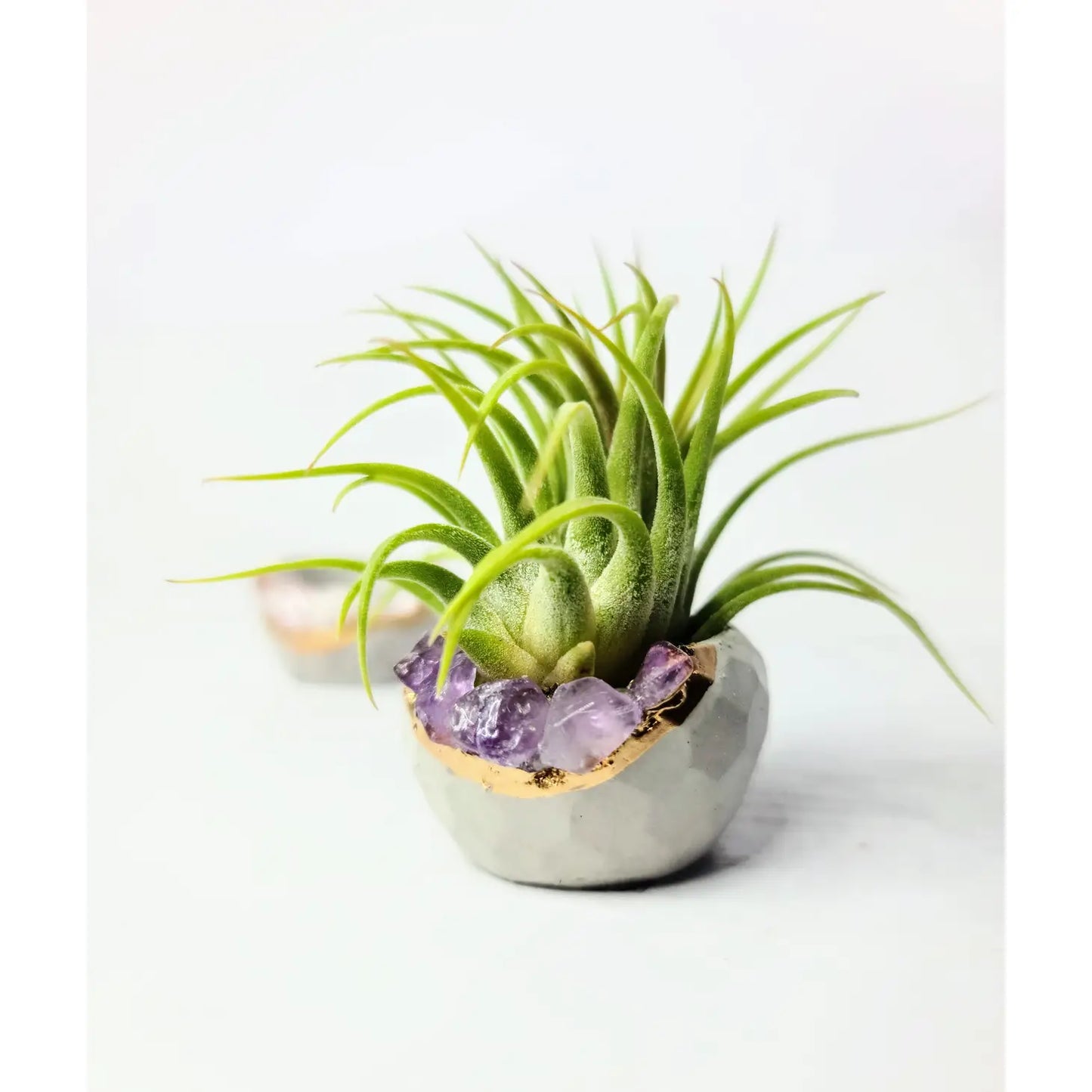 Geode Magie Geometric Concrete Magnet Planter | Airplant Pot