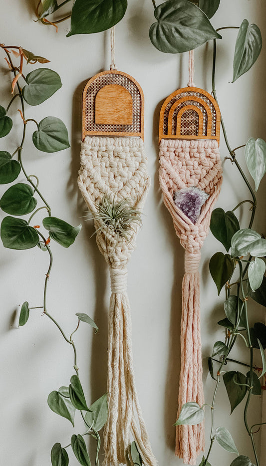 Rattan/Macrame Air Plant Hangers