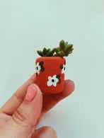 Anemone baby planter