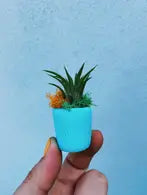 Aqua mini planter