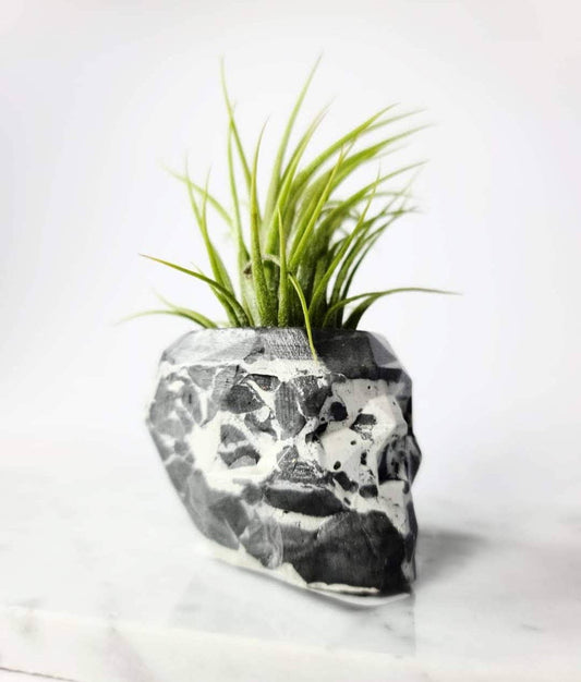 Bennet L Geometric Concrete Skull Planter - Large