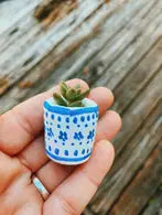 Blue and white baby planter