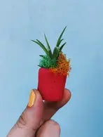 Coral mini planter