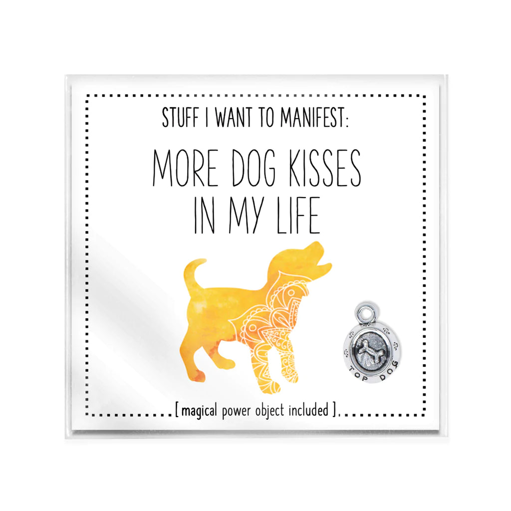 Stuff I Want to Manifest Charms - Assorted