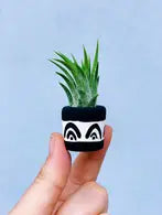 Earth mini planter