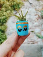 Holly pot (eyelashes)