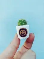 LA mini planter