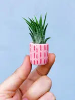 Minimal mini planter